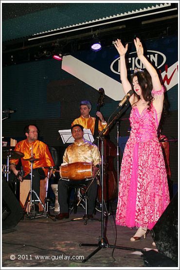 Reigen in Vienna - 20 years Gülay Princess & The Ensemble Aras (2010)
