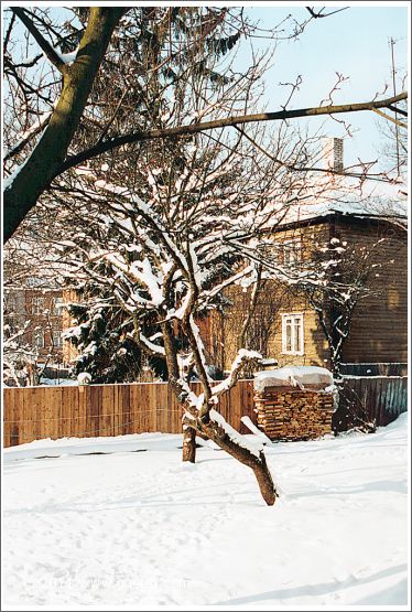 a typical wooden house in Tallinn