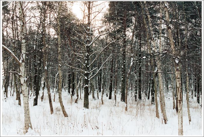 at the outskirts of Tallinn