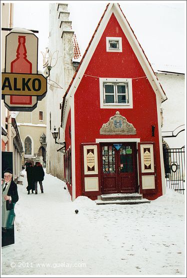 in Tallinn's downtown