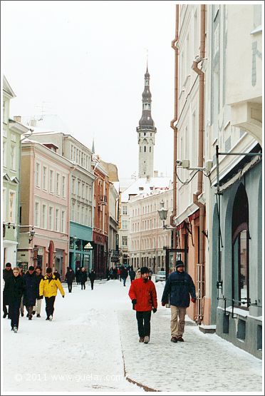 in Tallinn's downtown