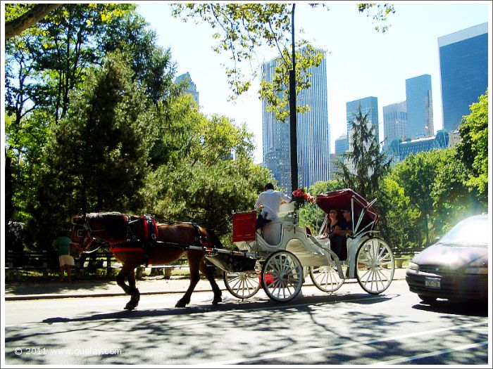 Central Park, Manhattan, New York (2005)