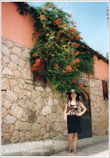 Gülay Princess in Sarımsaklı, Ayvalık (1998)