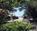 garden of our accomodation in Ventura, California (2006)