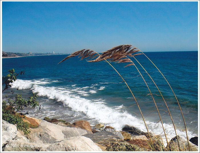 Topanga Beach, California (2006)