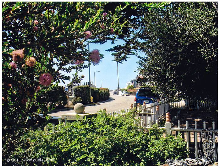 garden of our accomodation in Ventura, California (2006)